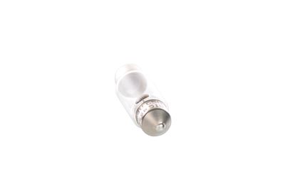 BEC INCANDESCENT BOSCH 1987302507 12
