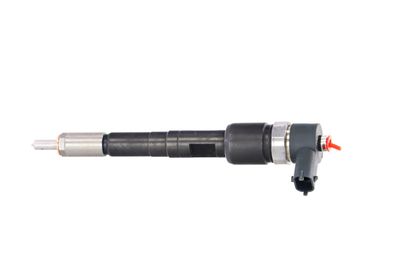 INJECTOR REMANTE 002003001711R 13