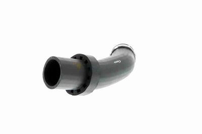 FURTUN EAR SUPRAALIMENTARE VAICO V201619 4