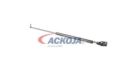 FILTRU AER ACKOJA A320034 39