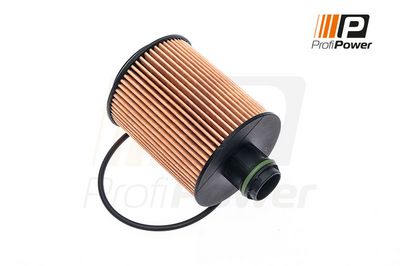 alyvos filtras 1F0053 ProfiPower