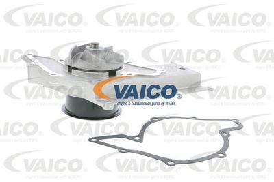 VAICO V10-50053 Помпа (водяной насос)  для AUDI A8 (Ауди А8)