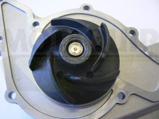 POMPă DE APă RăCIRE MOTOR MOTAQUIP VWP902 1