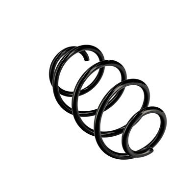 ARC SPIRAL EIBACH R10425 11