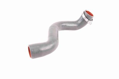 FURTUN EAR SUPRAALIMENTARE VAICO V460823 8