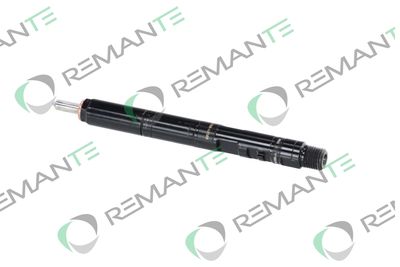 INJECTOR REMANTE 002003000051R