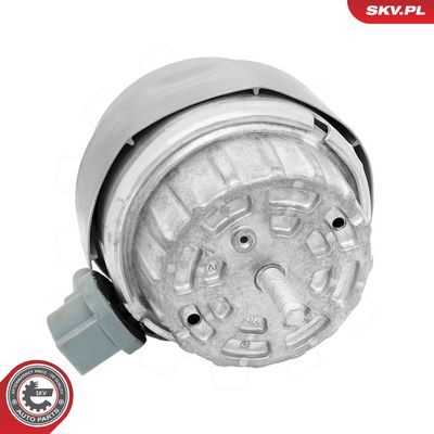 Variklio montavimas SKV GERMANY 75SKV212