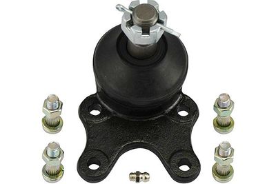Kavo Parts Šarnyras / girgždukas