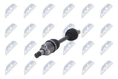 PLANETARA NTY NPWFR027 36