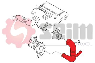 FURTUN EAR SUPRAALIMENTARE SEIM 981776 4
