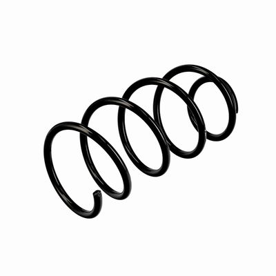 ARC SPIRAL EIBACH R10404 16