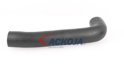 FURTUN EAR SUPRAALIMENTARE ACKOJA A379602 34