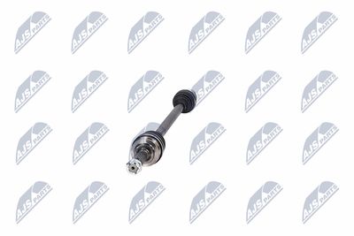 PLANETARA NTY NPWCH094 17