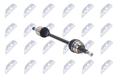 PLANETARA NTY NPWCH126 13