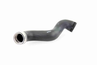 FURTUN EAR SUPRAALIMENTARE