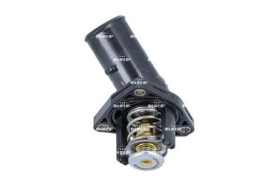 TERMOSTAT LICHID RACIRE NRF 725325 3