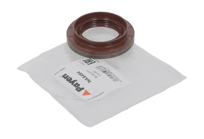 SIMERING DIFERENTIAL PAYEN NA5494 4