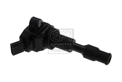 запалителна бобина EFI AUTOMOTIVE 155547