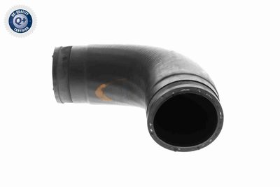 LADELUFTSCHLAUCH VAICO V102887 3