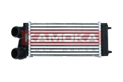 Charge Air Cooler 7750093