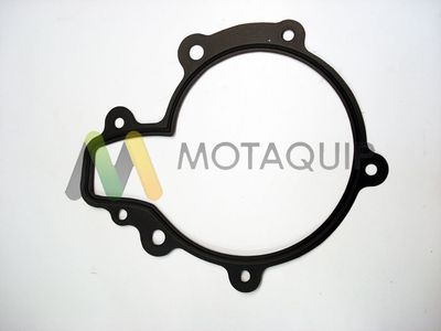 POMPă DE APă RăCIRE MOTOR MOTAQUIP LVWP998 2
