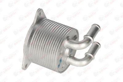 RADIATOR ULEI ULEI MOTOR BIRTH 80815 11