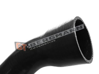 GT-BERGMANN Automotive - Hadica plniaceho vzduchu (hadica turba) RENAULT, DACIA , GT52-243