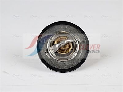 TERMOSTAT LICHID RACIRE AVA Clever Choice PETS001 1