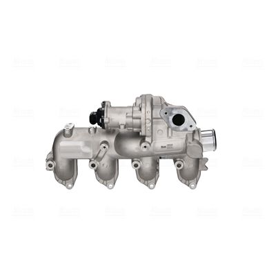 EGR Valve 98234