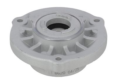 Federbeinstützlager