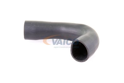 FURTUN EAR SUPRAALIMENTARE VAICO V103836 16