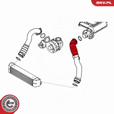 FURTUN EAR SUPRAALIMENTARE ESEN SKV 24SKV695 3