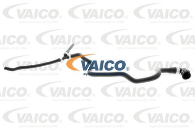 VAICO Radiateurslang Original VAICO kwaliteit (V20-1282)