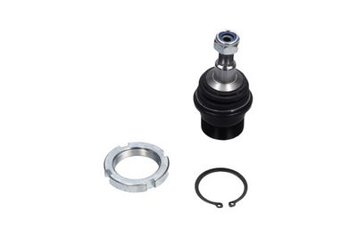 Kavo Parts Šarnyras / girgždukas