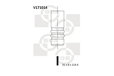 BGA V171014 Клапан выпускной  для FIAT BRAVA (Фиат Брава)