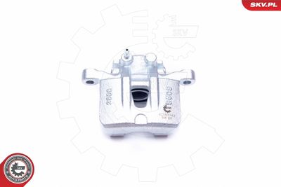 Brake Caliper 42SKV583