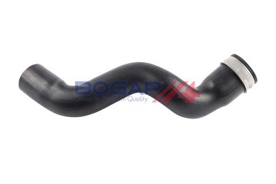FURTUN EAR SUPRAALIMENTARE BOGAP A1711196 2