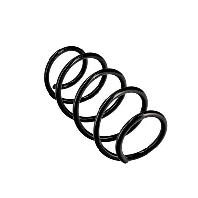 ARC SPIRAL EIBACH R10165 11
