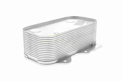 ÖLKüHLER MOTORöL VEMO V15600010 4