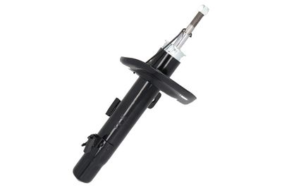 Amortizators DACO 450617R