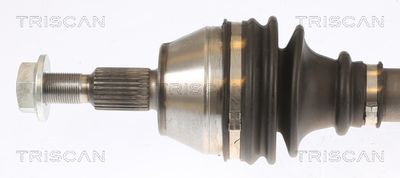 PLANETARA TRISCAN 854016637 1