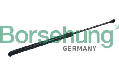 Dujinė spyruoklė, bagažinė