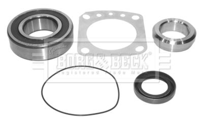 Комплект подшипника ступицы колеса BORG & BECK BWK466 для LADA NIVA