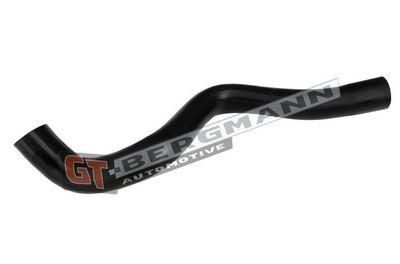 GT-BERGMANN Automotive - Hadica plniaceho vzduchu (hadica turba) RENAULT , GT52-655