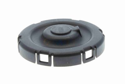 VENTIL AERISIRE CARTER VAICO V203341 9