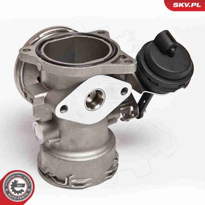 SUPAPA EGR ESEN SKV 14SKV024 2