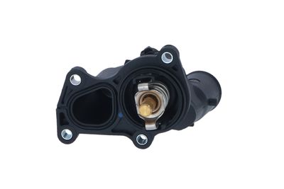 TERMOSTAT LICHID RACIRE NRF 725048 19