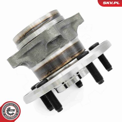 SET RULMENT ROATA ESEN SKV 29SKV660 5