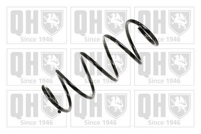 QUINTON HAZELL QCS6427 Пружина подвески  для FIAT (Фиат)