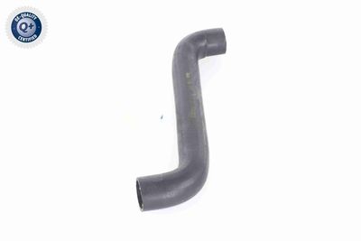 KüHLERSCHLAUCH VAICO V303549 4